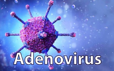 Hình ảnh chi tiết tin tức 11 thắc mắc về trẻ nhiễm adenovirus bố mẹ nên biết Hình ảnh tin tức 11 thắc mắc về trẻ nhiễm adenovirus bố mẹ nên biết