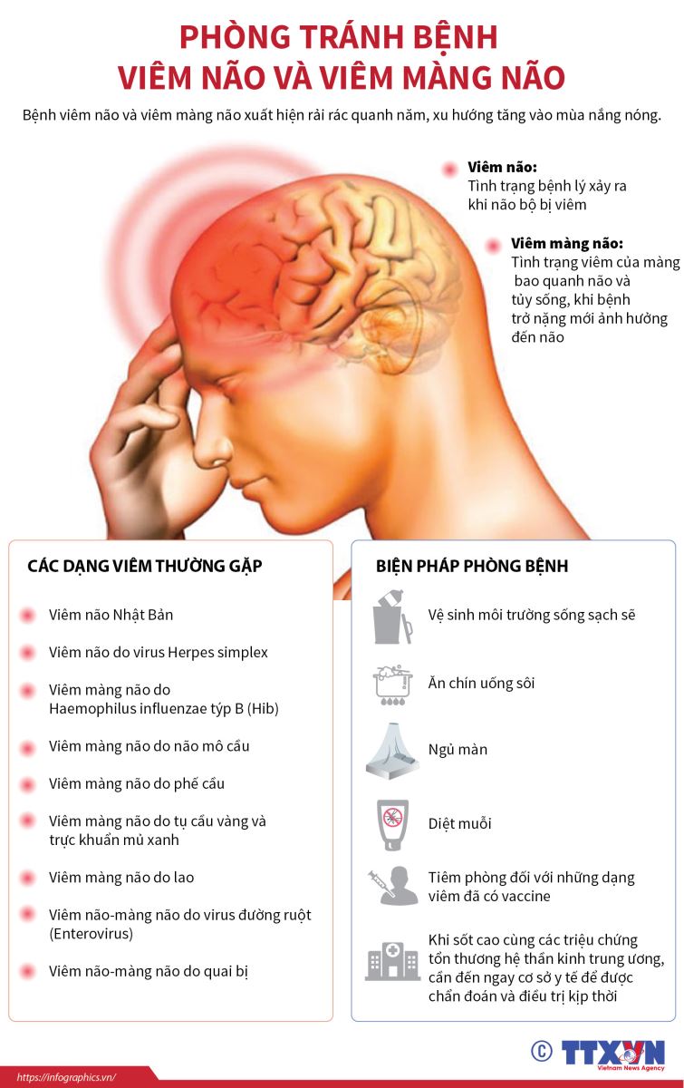 6 biện pháp cần làm ngay để phòng viêm não virus trong mùa hè